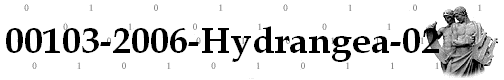 00103-2006-Hydrangea-02