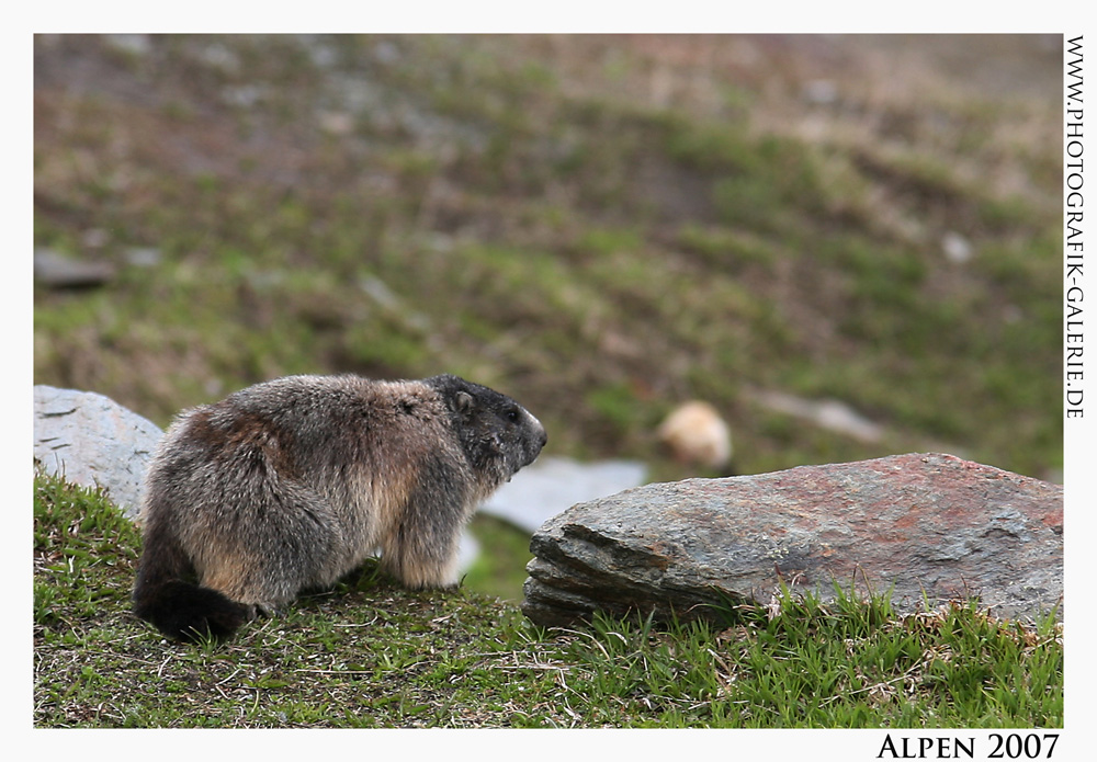 Alpen18-1