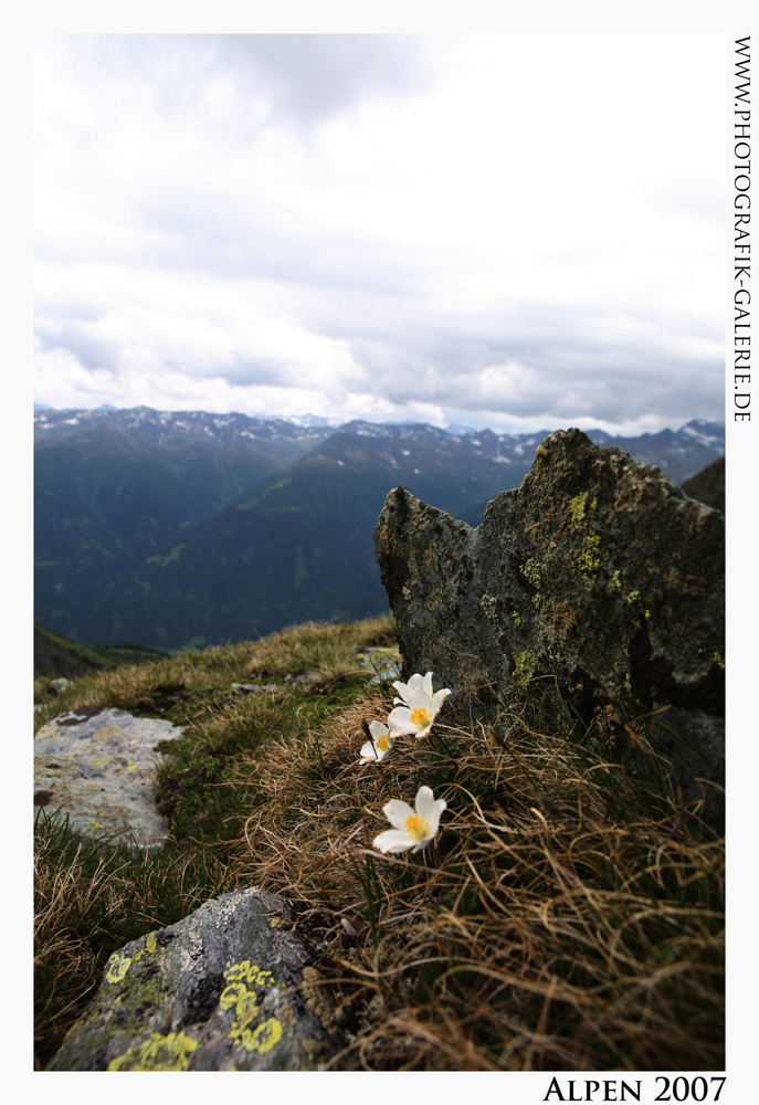 Alpen20-1