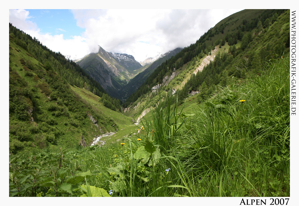 Alpen21-1