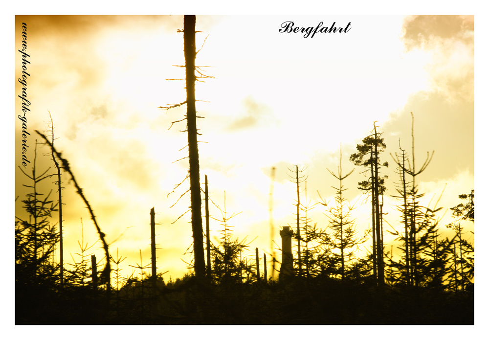 Bergfahrt-02-1