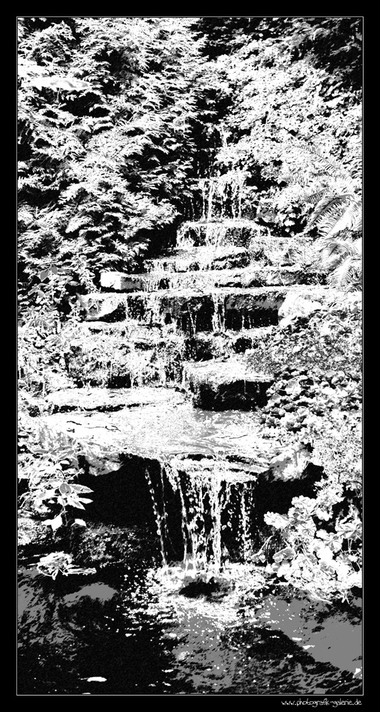 Botanik-05-1000