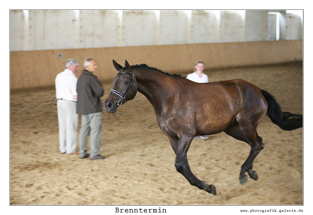 Brennthermi-16