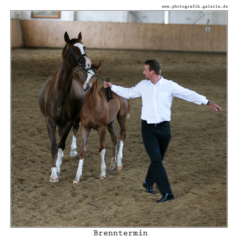 Brennthermi-23