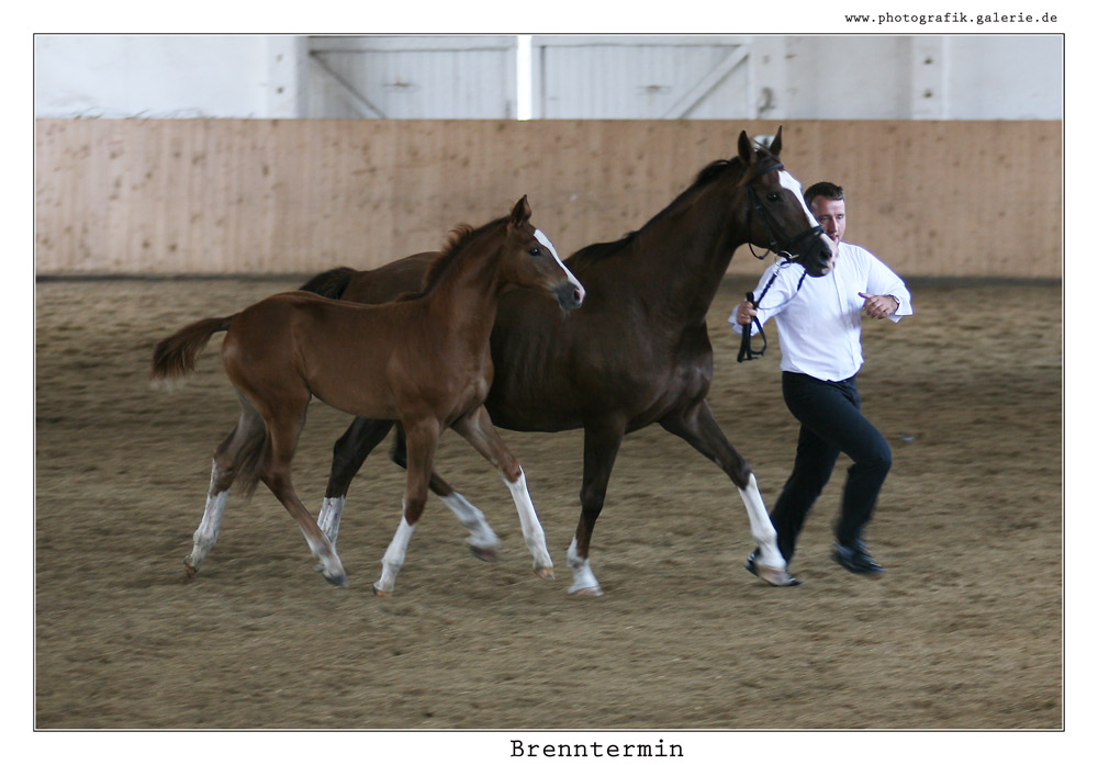 Brennthermi-24