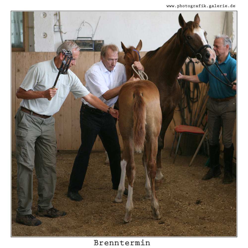 Brennthermi-37