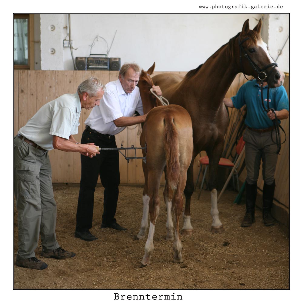 Brennthermi-38