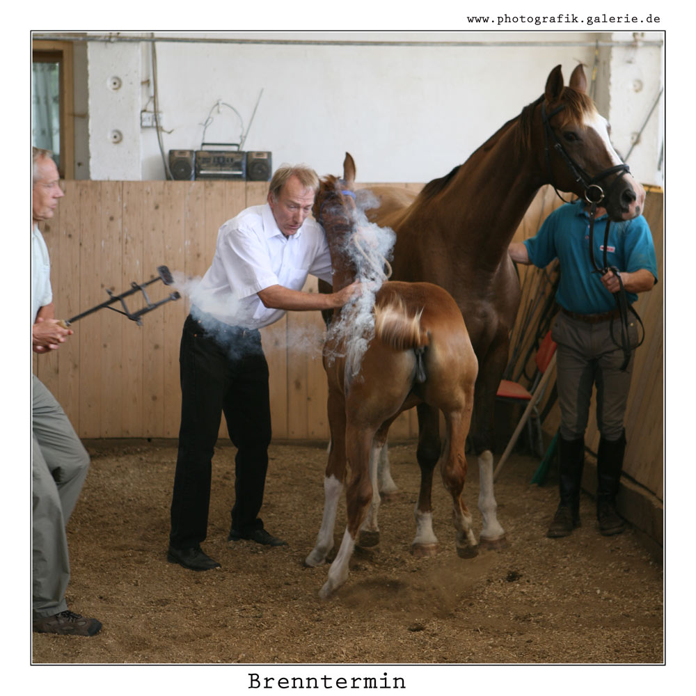 Brennthermi-40