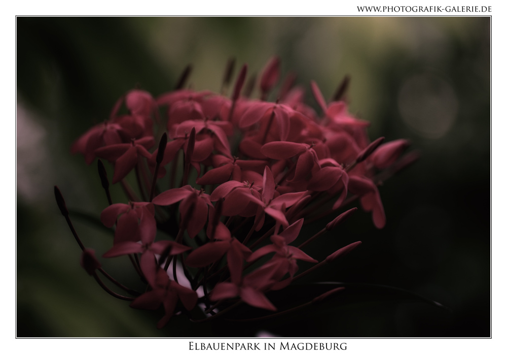 Elbauenpark-10