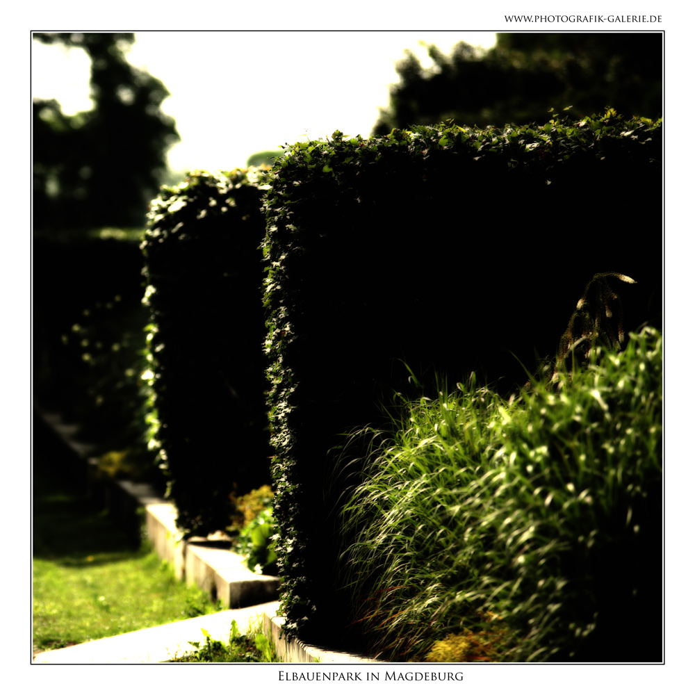 Elbauenpark-18