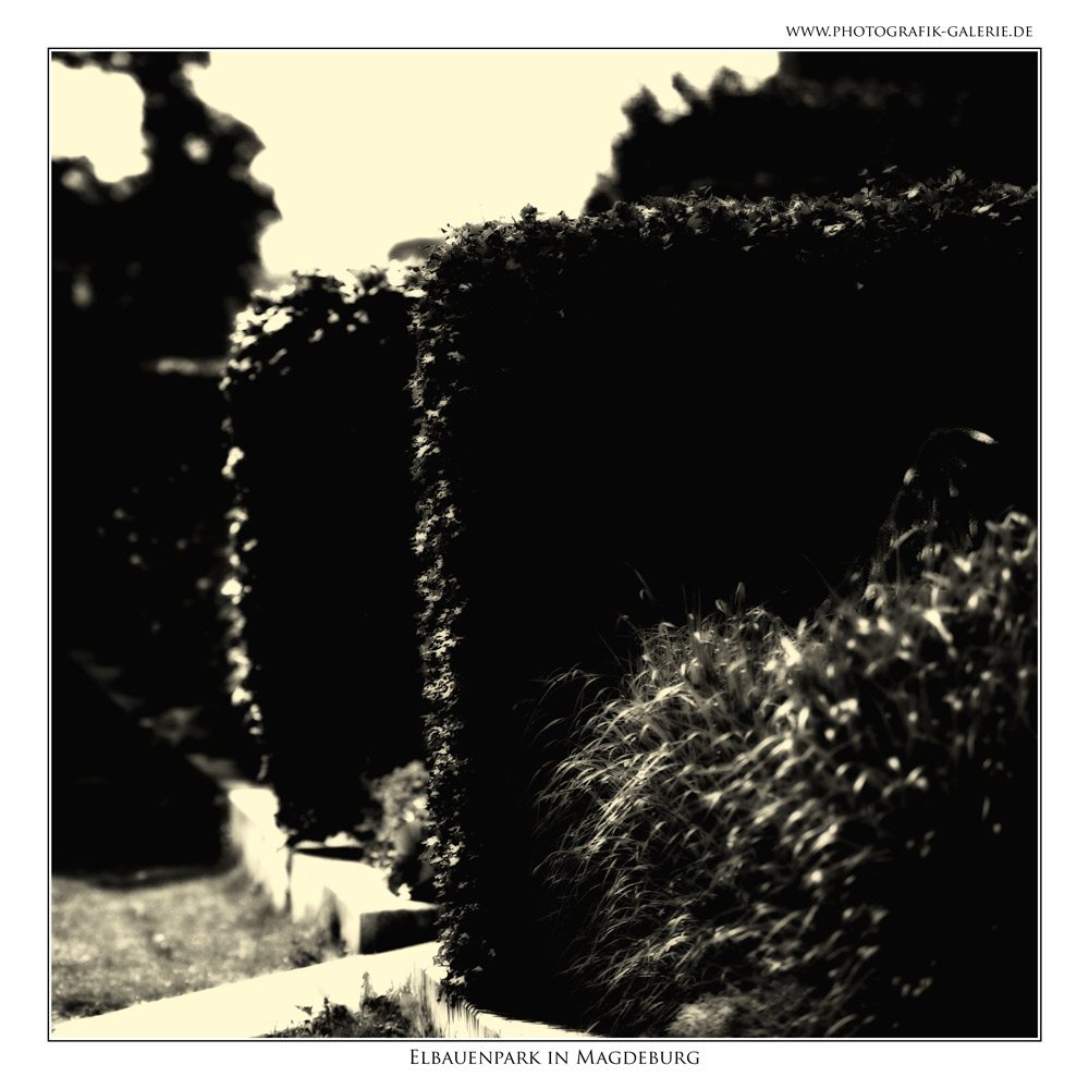 Elbauenpark-19