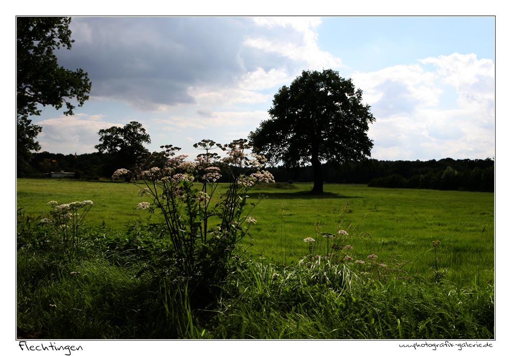 Flechtingen-10