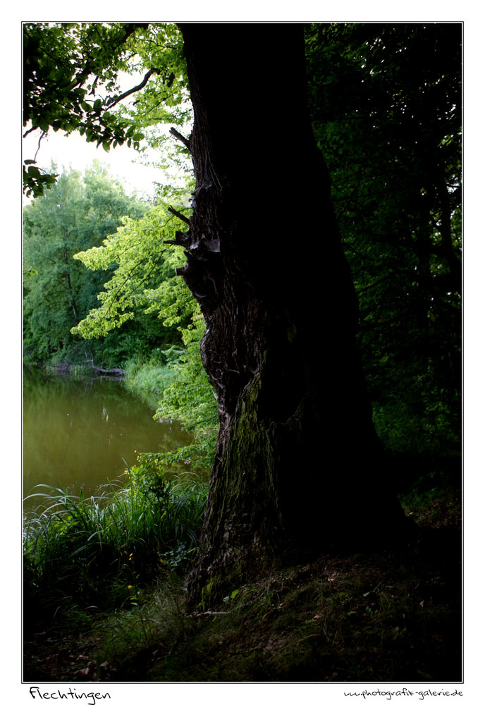 Flechtingen-12