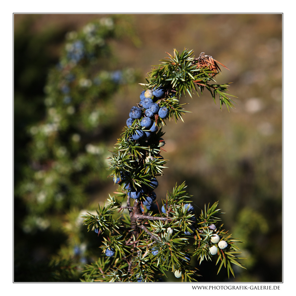 Frankreich-28