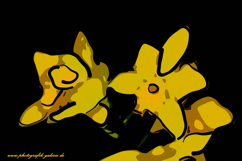Orchidee-22