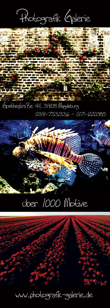 Rckseite-1000